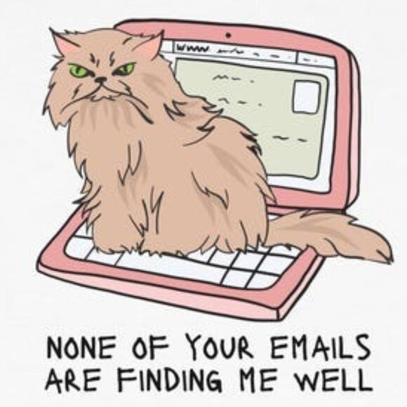 Office Cat T-Shirt, None of Your Emails Are Finding Me Well - Picture 2 of 3